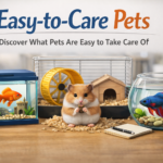 What Pets Are Easy to Take Care Of