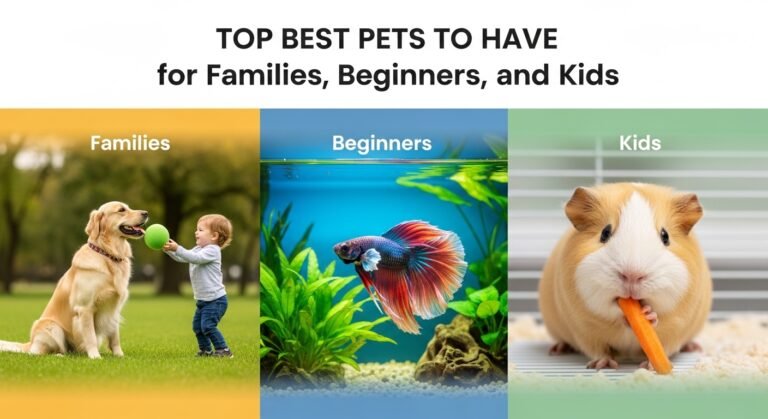 Best Pets to Have